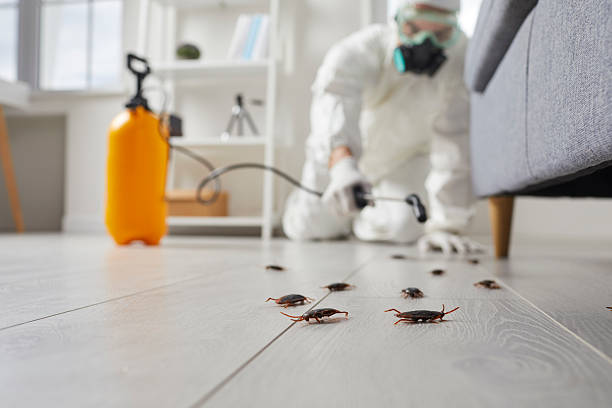 Commercial Kitchen Cockroach Control in Doraville